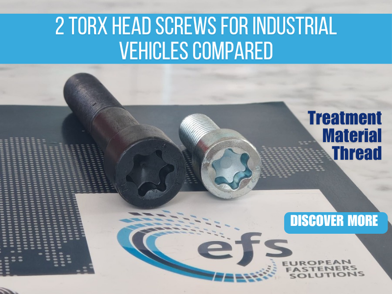 EFS: 2 Torx Head Screws for industrial & agricultural vehicles